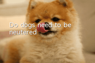 Do dogs need to be neutered?