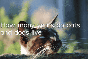 How many years do cats and dogs live?