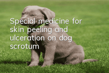 Special medicine for skin peeling and ulceration on dog scrotum