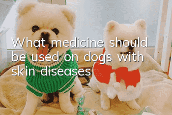 What medicine should be used on dogs with skin diseases?