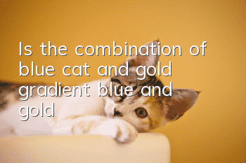 Is the combination of blue cat and gold gradient blue and gold?
