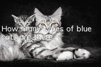 How many types of blue cats are there?