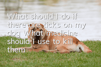 What should I do if there are ticks on my dog? What medicine should I use to kill them?