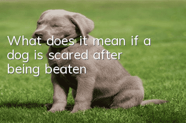 What does it mean if a dog is scared after being beaten?