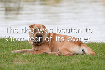 The dog was beaten to show fear of its owner