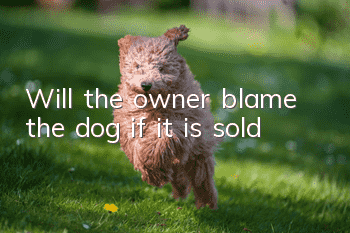 Will the owner blame the dog if it is sold?