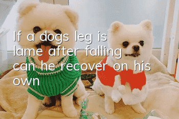 If a dog's leg is lame after falling, can he recover on his own?