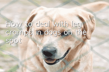 How to deal with leg cramps in dogs on the spot
