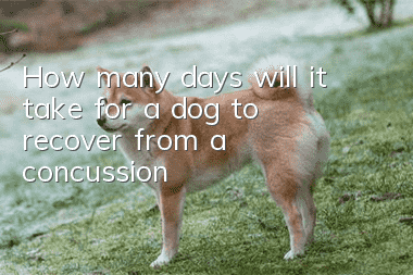 How many days will it take for a dog to recover from a concussion?
