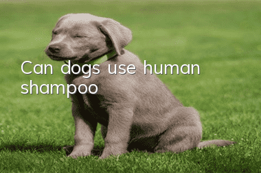 Can dogs use human shampoo?