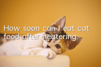 How soon can I eat cat food after neutering?