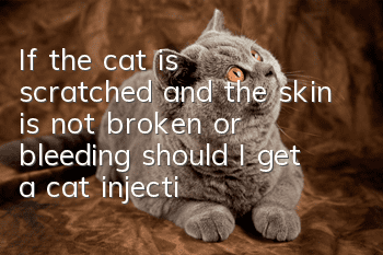 If the cat is scratched and the skin is not broken or bleeding, should I get a cat injection?