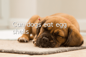Can dogs eat egg shells?