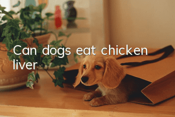 Can dogs eat chicken liver?