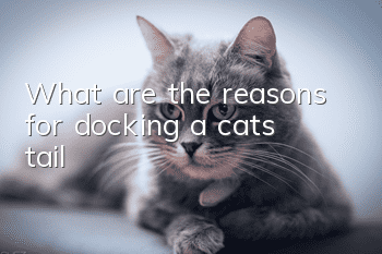 What are the reasons for docking a cat’s tail?