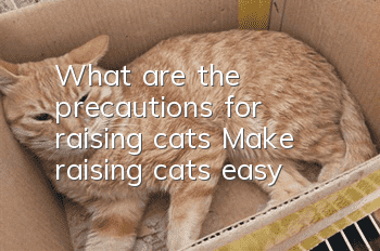 What are the precautions for raising cats? Make raising cats easy!