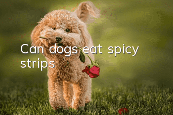 Can dogs eat spicy strips?