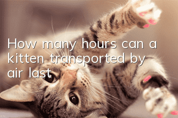 How many hours can a kitten transported by air last?