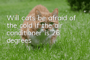 Will cats be afraid of the cold if the air conditioner is 26 degrees?