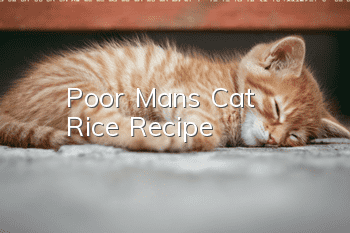 Poor Man's Cat Rice Recipe
