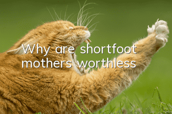 Why are shortfoot mothers worthless?