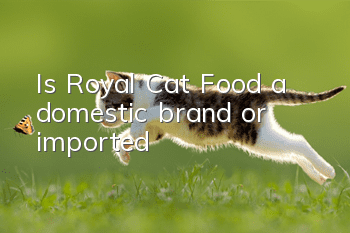 Is Royal Cat Food a domestic brand or imported?