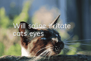 Will saline irritate cats' eyes?