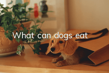 What can dogs eat