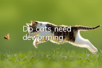 Do cats need deworming?