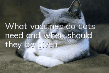 What vaccines do cats need and when should they be given?