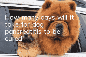 How many days will it take for dog pancreatitis to be cured?