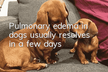 Pulmonary edema in dogs usually resolves in a few days