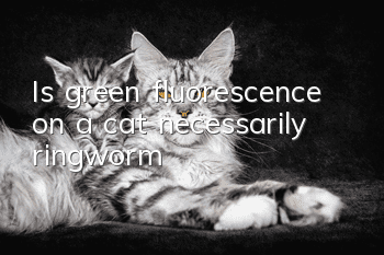 Is green fluorescence on a cat necessarily ringworm?