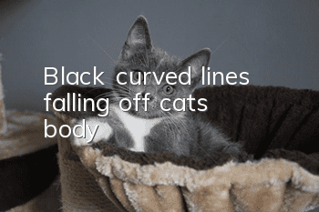 Black curved lines falling off cat's body