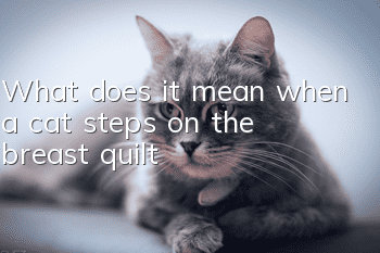 What does it mean when a cat steps on the breast quilt?
