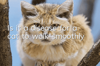 Is it a disease for a cat to walk smoothly?