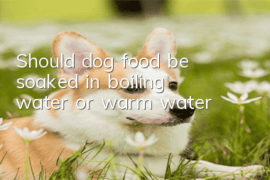 Should dog food be soaked in boiling water or warm water?