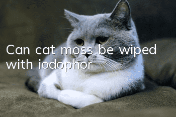Can cat moss be wiped with iodophor?