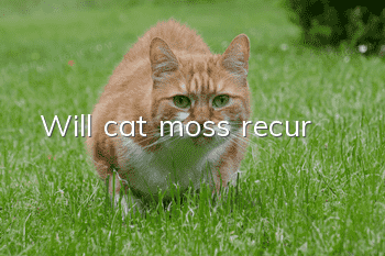 Will cat moss recur?