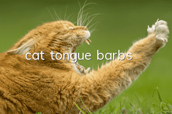 cat tongue barbs