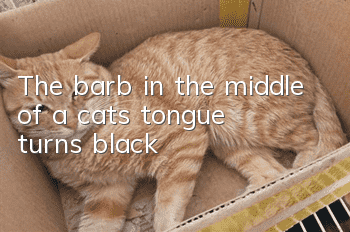 The barb in the middle of a cat's tongue turns black