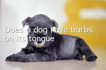 Does a dog have barbs on its tongue?