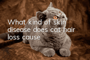 What kind of skin disease does cat hair loss cause?