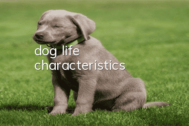 dog life characteristics
