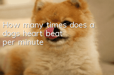 How many times does a dog's heart beat per minute?