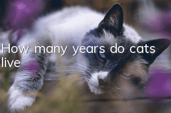 How many years do cats live?