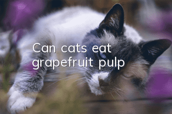 Can cats eat grapefruit pulp?