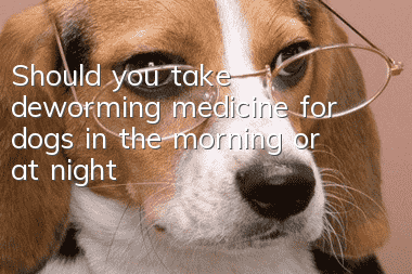 Should you take deworming medicine for dogs in the morning or at night?