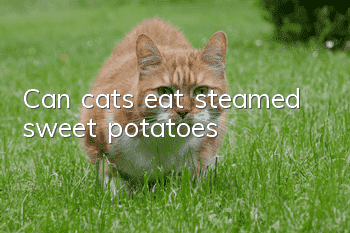 Can cats eat steamed sweet potatoes?