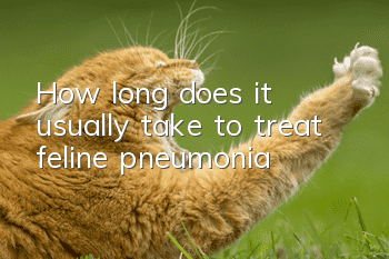 How long does it usually take to treat feline pneumonia?